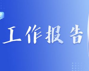 市政府办公室关于2023年度全面从严治党工作完成情况汇报