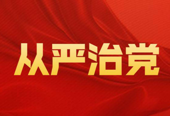 市级部门党组全面从严治党汇报材料