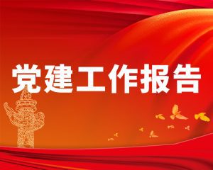 某局基层党支部建设情况报告