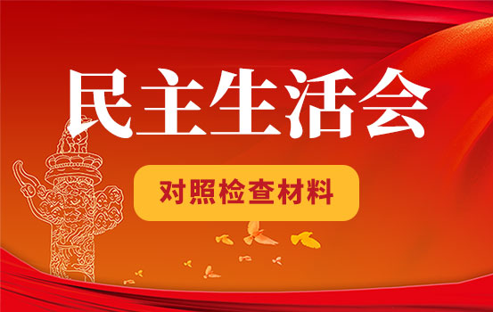 2021年度人大机关党支部组织生活会对照剖析材料