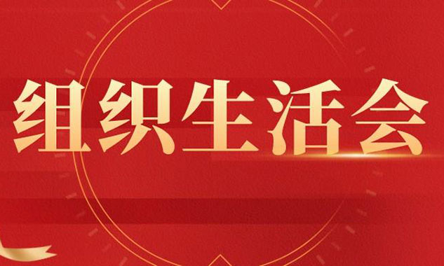 机关党支部党员对照检查材料（2021年度组织生活会个人对照检查材料）