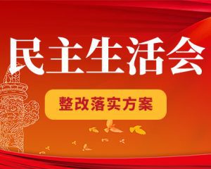 集团党委领导班子成员2022年度民主生活会整改方案