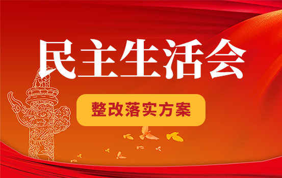 市级局党组领导班子党史学习教育专题民主生活会整改方案