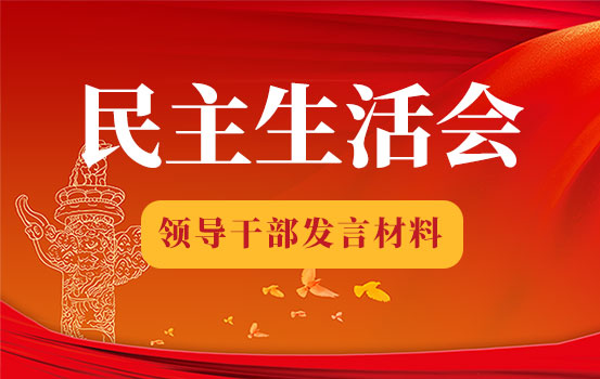 国企党委宣传委员2021年专题民主生活会个人发言提纲（五个带头发言材料）