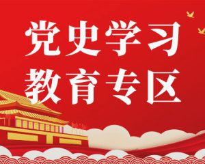 乡领导班子党史学习教育专题民主生活会整改落实情况报告