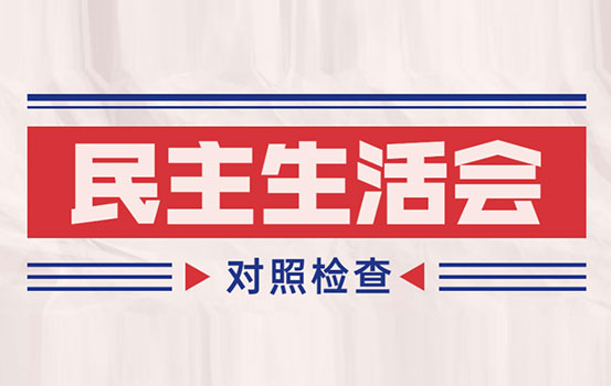 2021年度组织生活会支部委员会对照检查材料