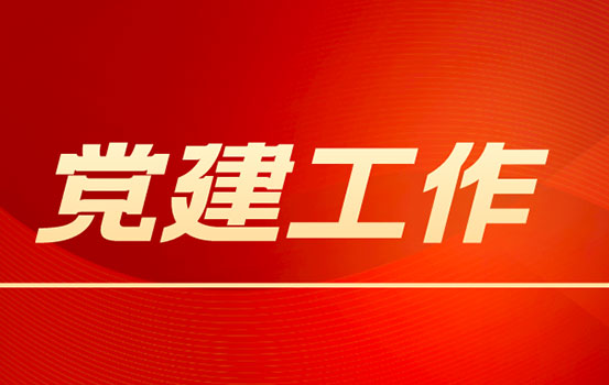 央企基层党组织党建共建经验材料