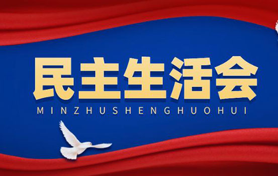 2021年专题民主生活会剖析材料（国企党委委员、副总经理子公司集团董事长）