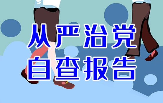 学院党支部落实全面从严治党主体责任自查报告