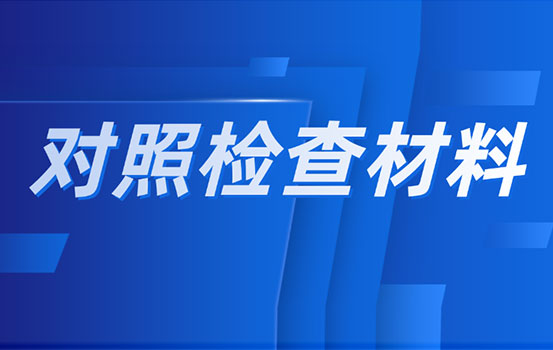 审计局2021年度组织生活会个人对照检查材料