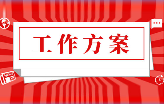 2022年扎实推进党支部规范化建设工作方案