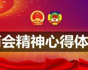 2022年全国两会精神心得体会