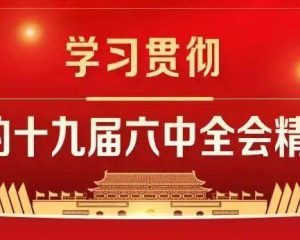 镇机关党支部党员学习党的十九届六中全会精神心得体会