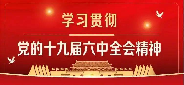 镇卫健干部学习十九届六中全会心得体会